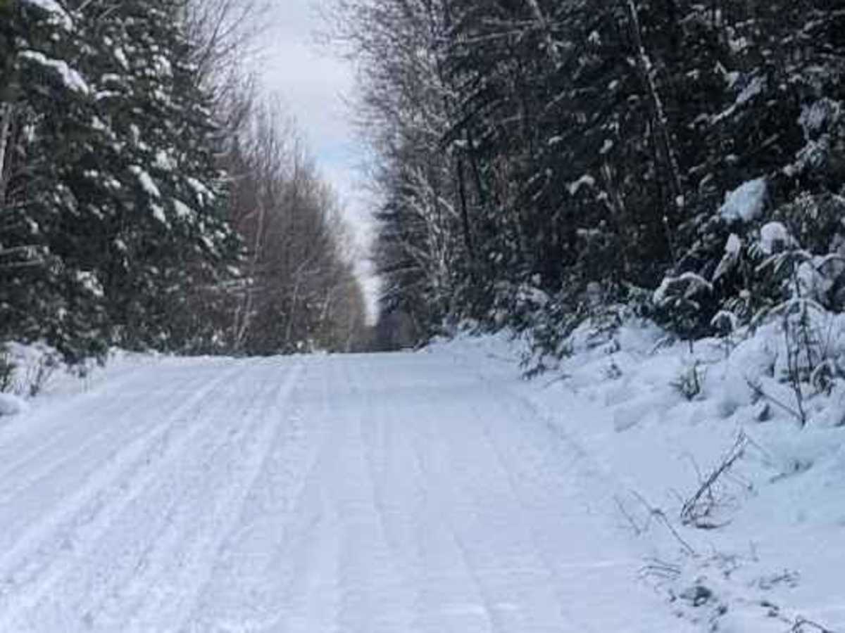 Little Owl Lake Trail photo 4