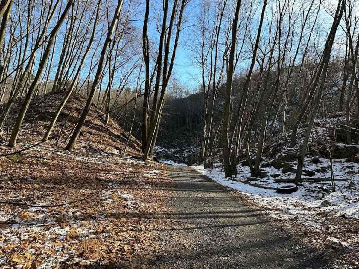 Locust Gap 15 photo 3