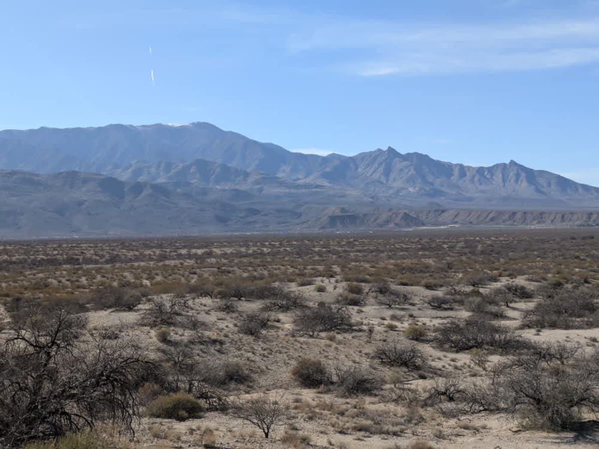 Ss1066 photo 2