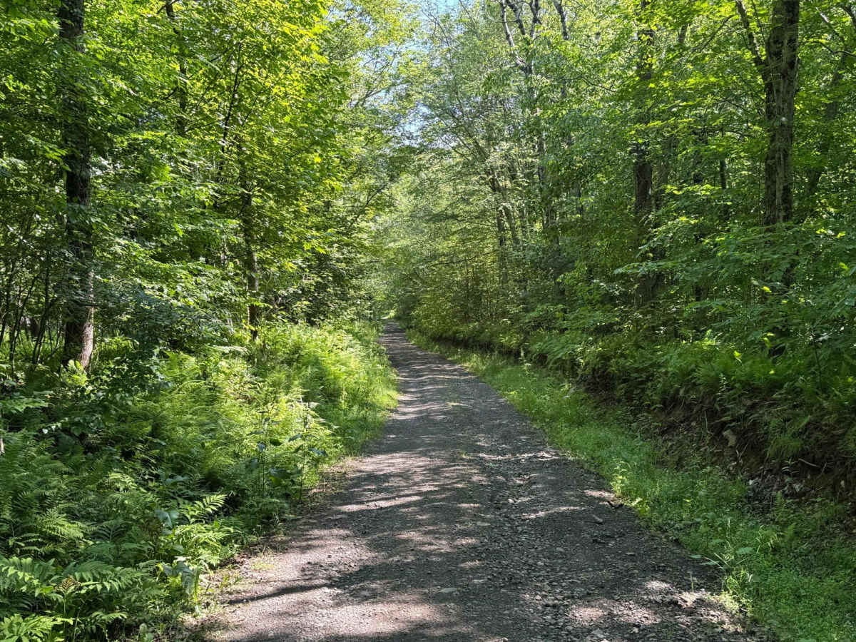 Shin Creek Road photo 6