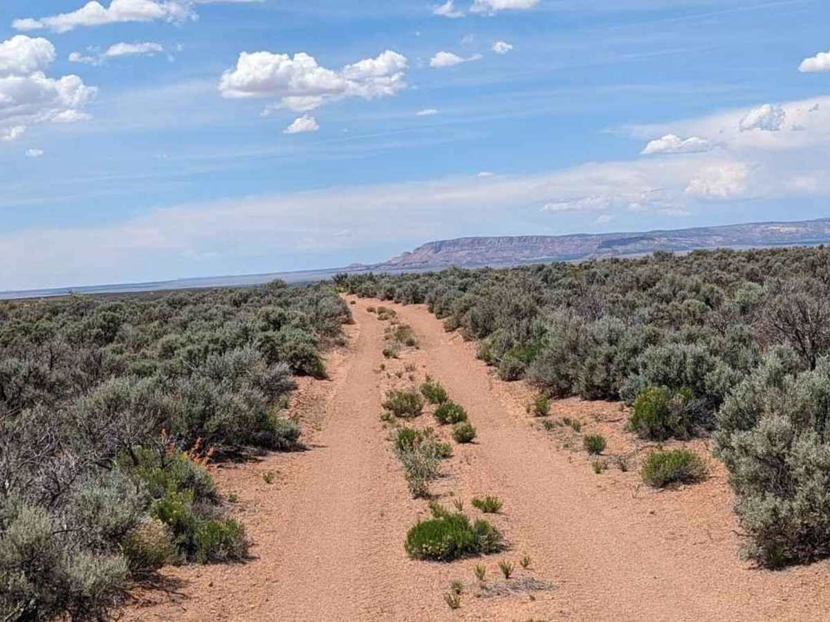 Swapp Tank Trail - BLM176 photo 5