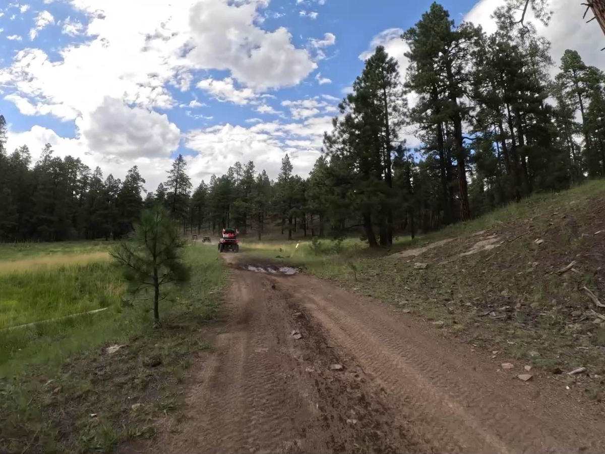 Homestead Loop photo 3
