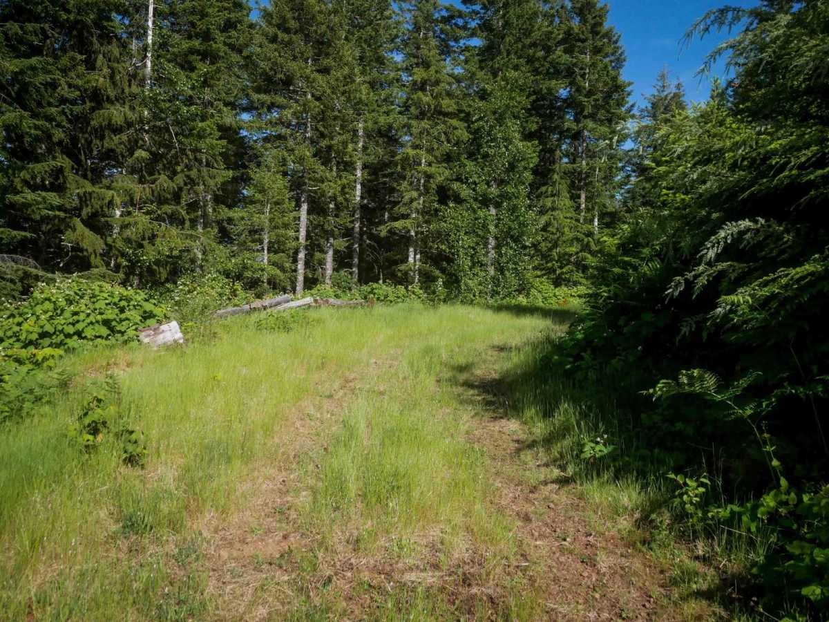 #41A ATV photo 3