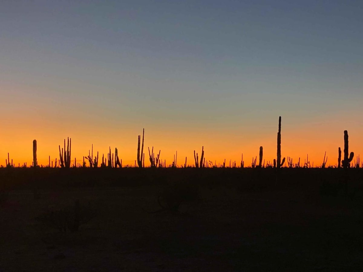 Ruta El Arco trail photo