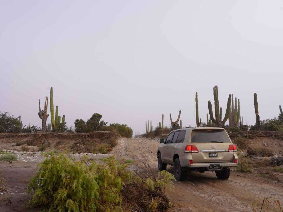 San Juanico to San Ignacio via the Coast. trail photo