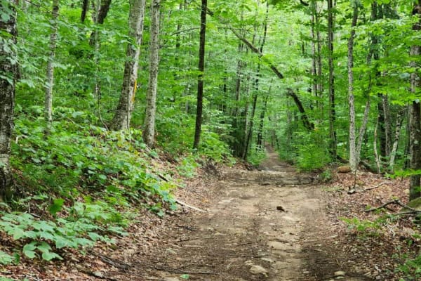 Flansberg Trail