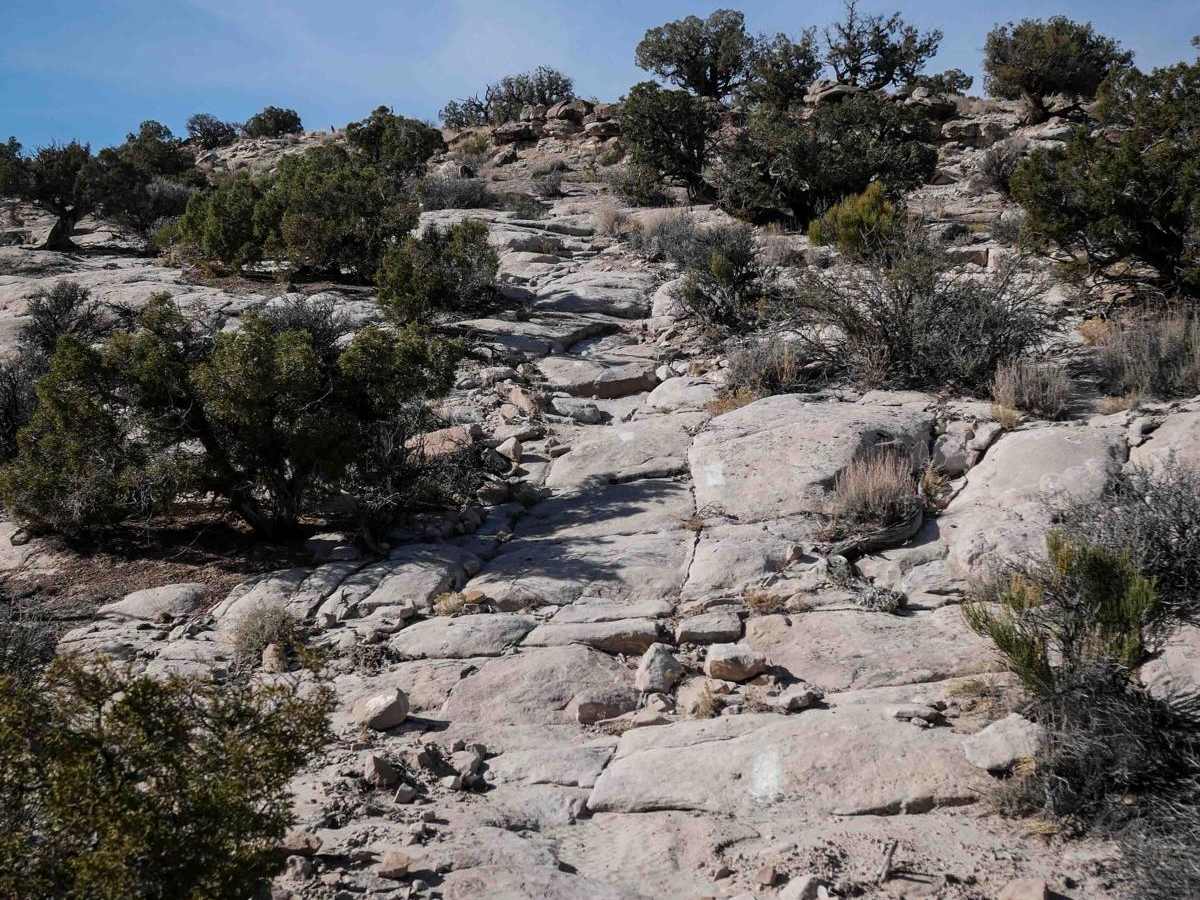 Rocky Bluff photo 4