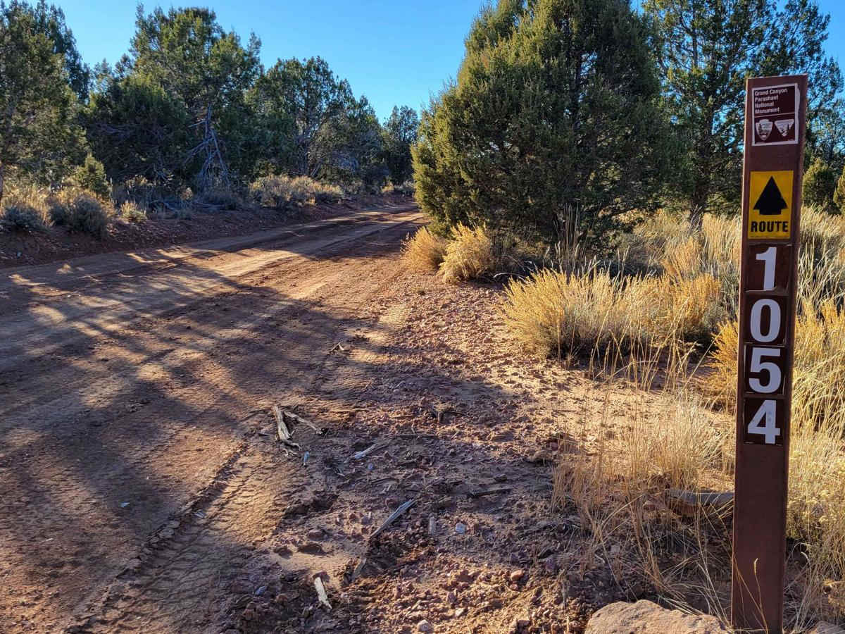 BLM 1054 trail photo