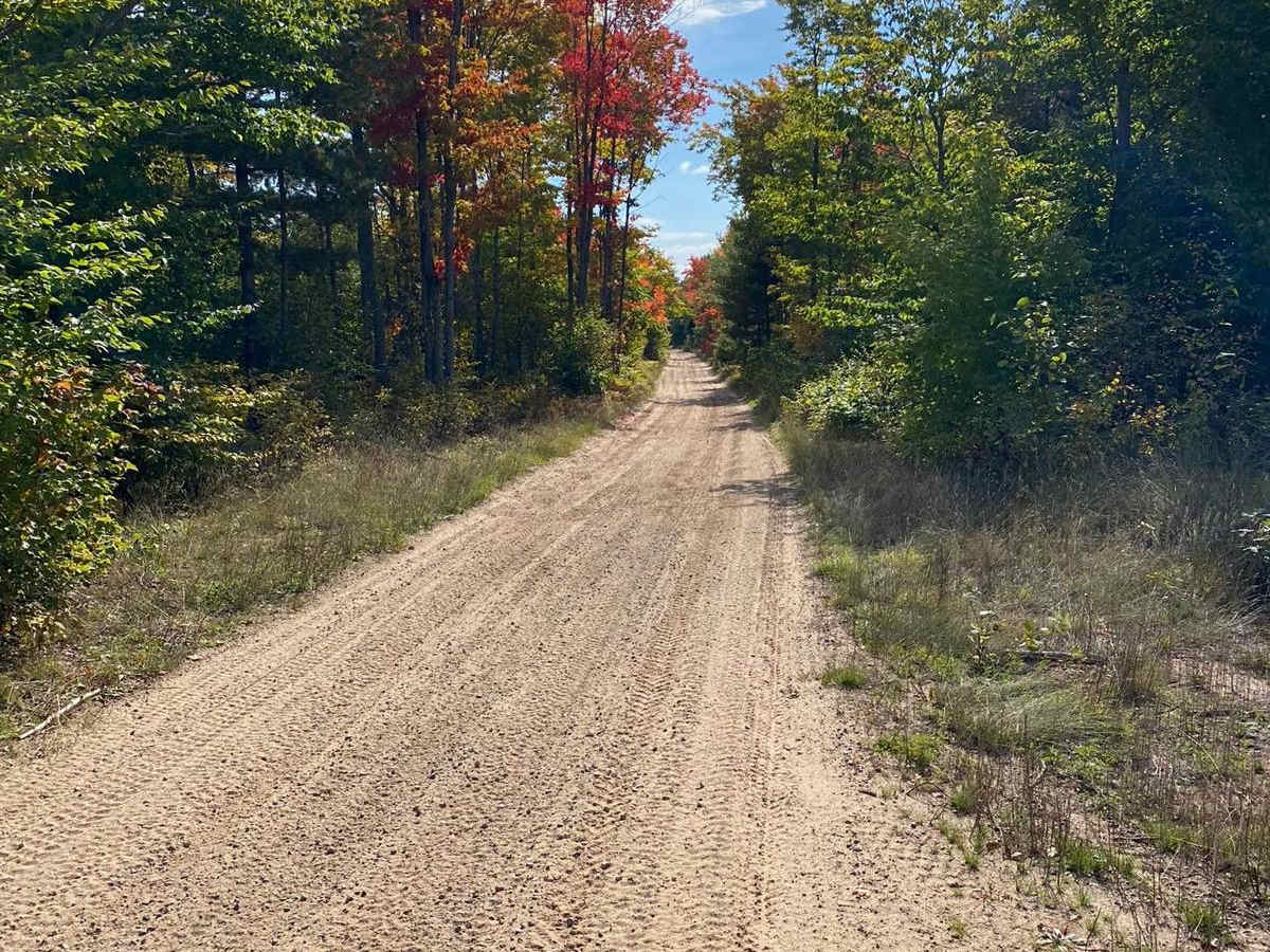 U.P. 419/Juniper Trail - Part 1 trail photo