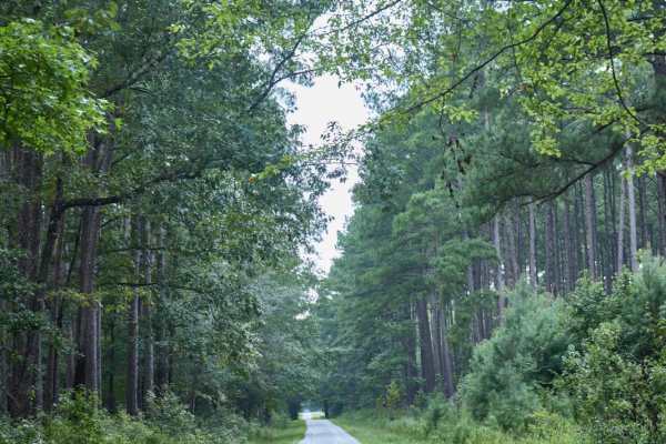 Turkey Road - Shooting Range Access