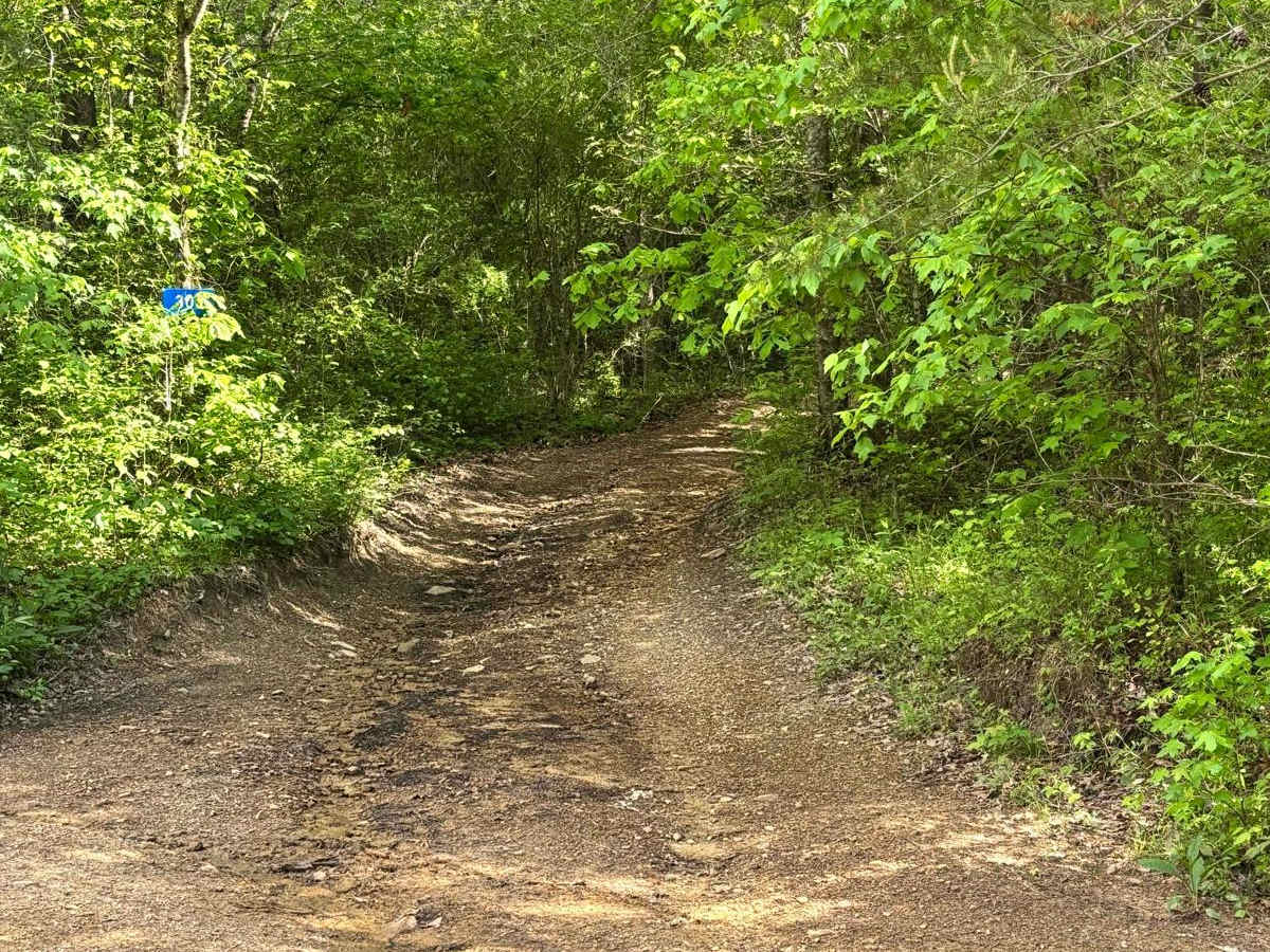 308 trail photo