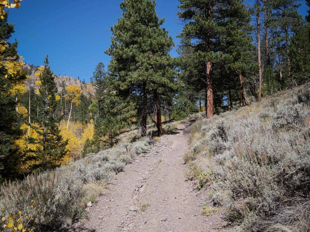 643 ATV Trail photo 5