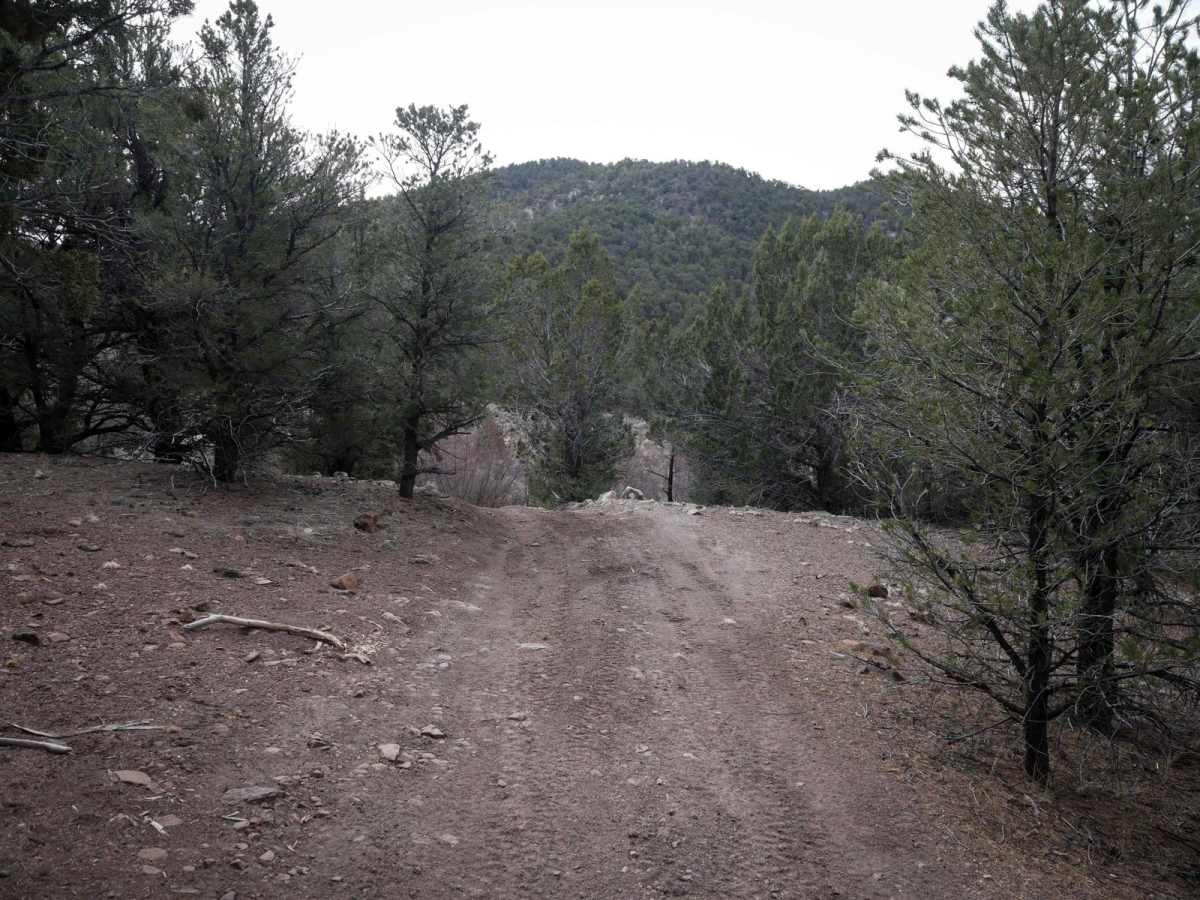 Bull Rush ATV Trail trail photo