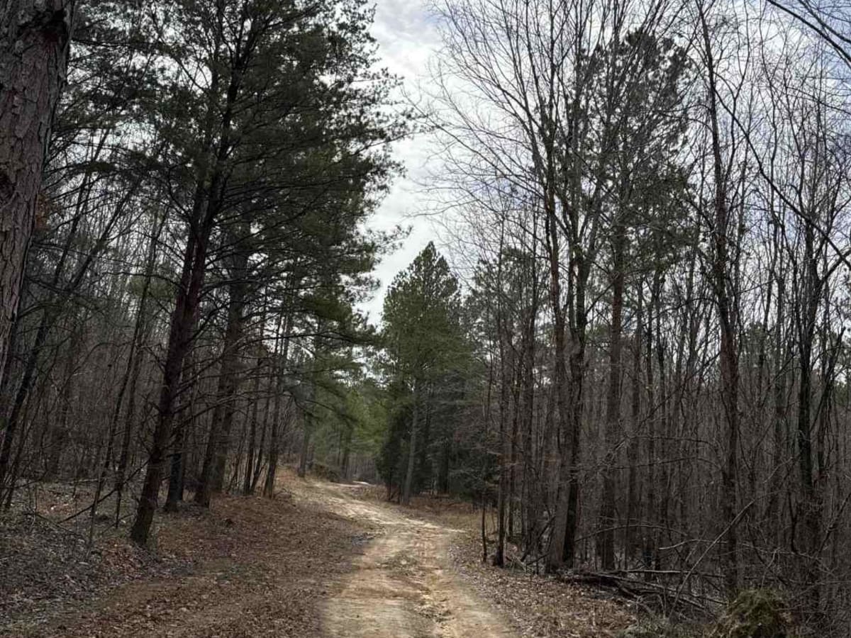 #71 Thompson Trail photo 3