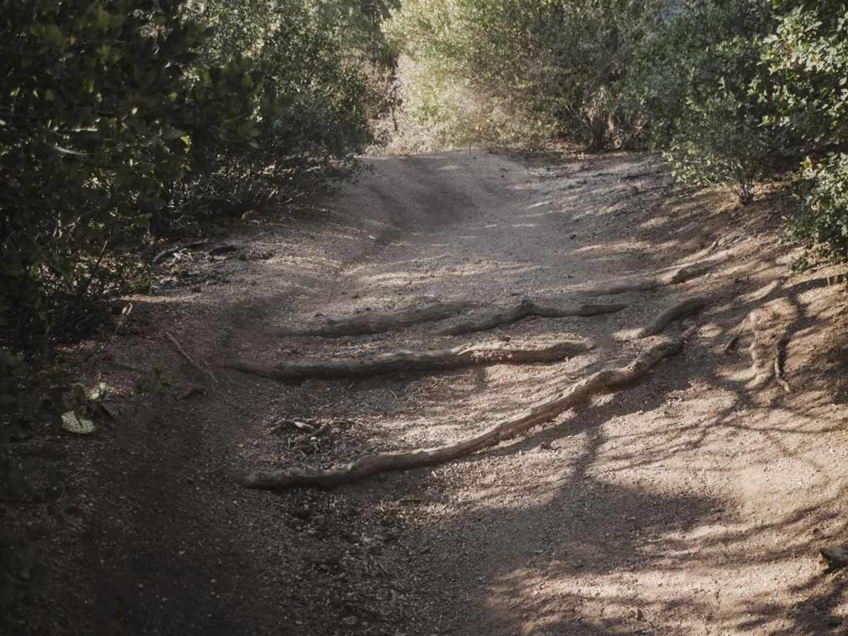 Trail 3 photo 3