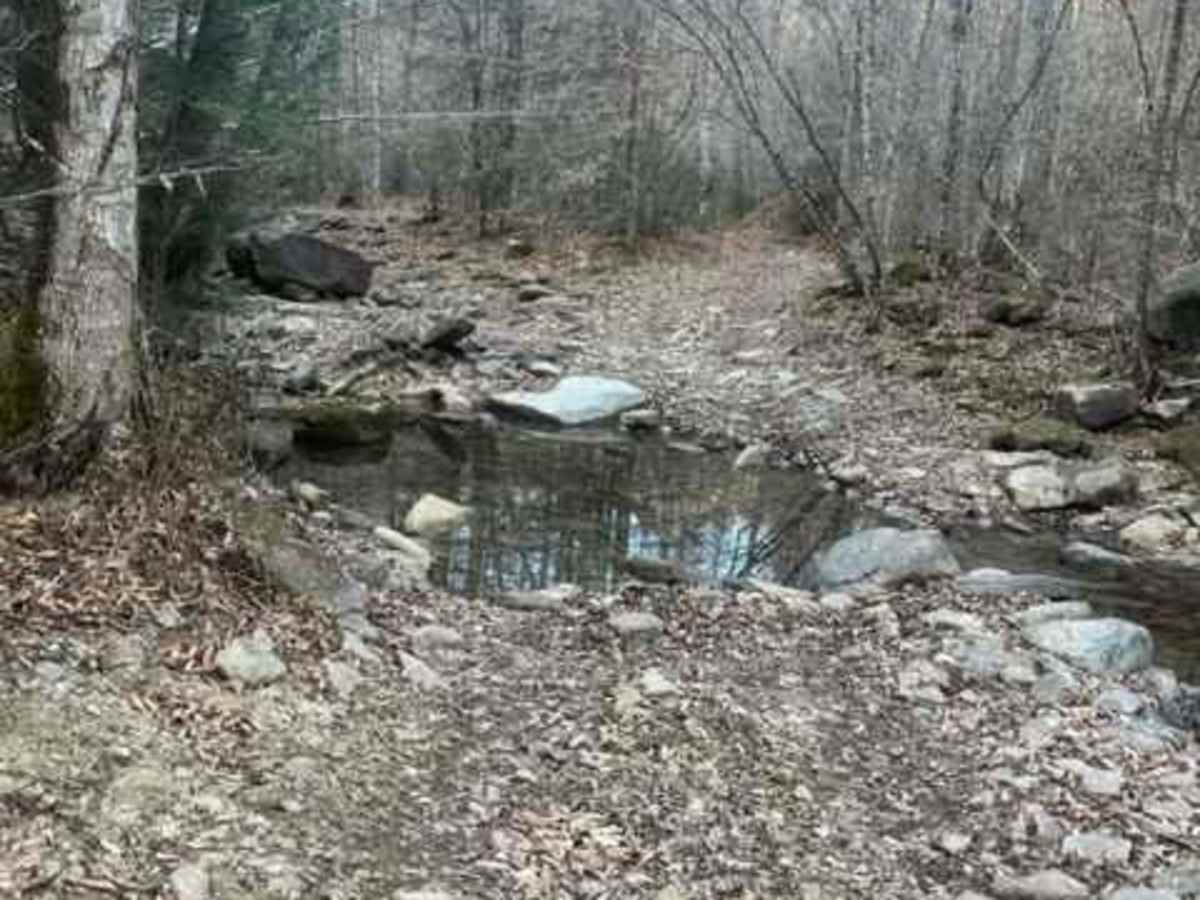 Coalmont Trail 2 Blue photo 5