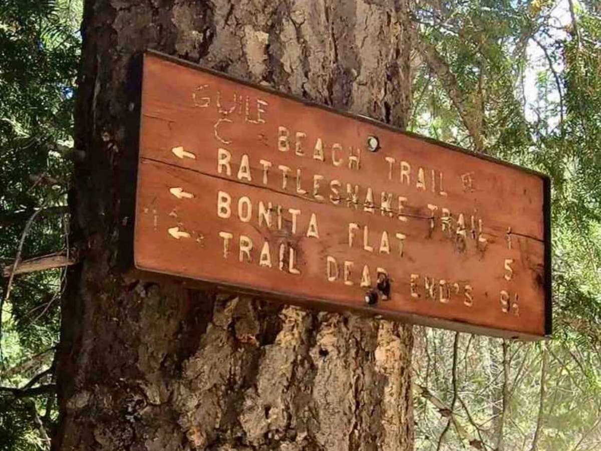 Rattlesnake Creek photo 2