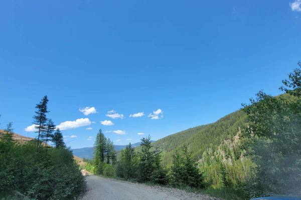 Moyie Sunrise