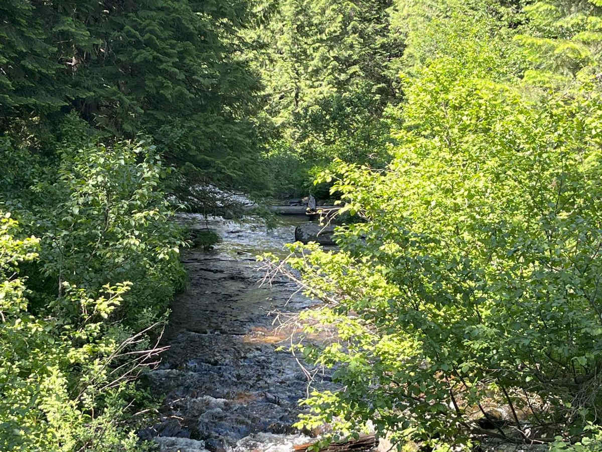 Elk Creek photo 4
