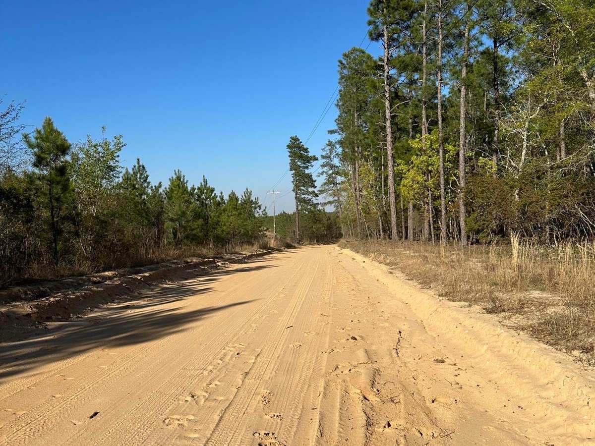 Elbert Taylor Road photo 5