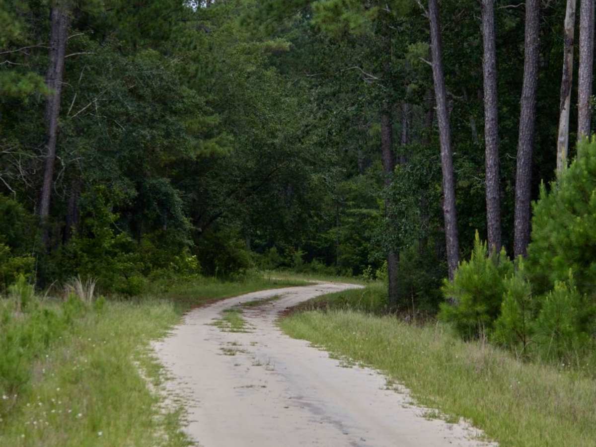 Inner Gregory Field Loop photo 2