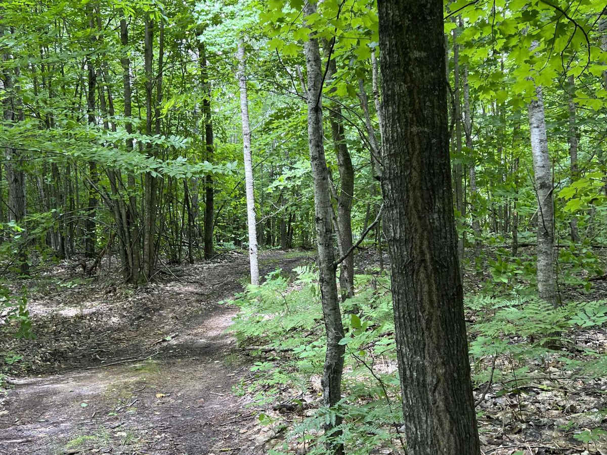 Big Wolf to Townline photo 2