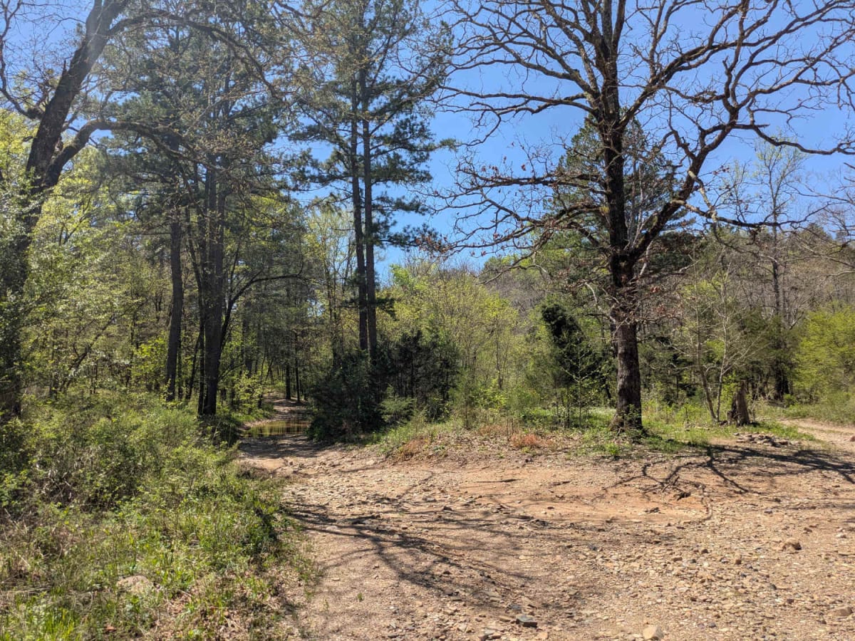 52750 trail photo