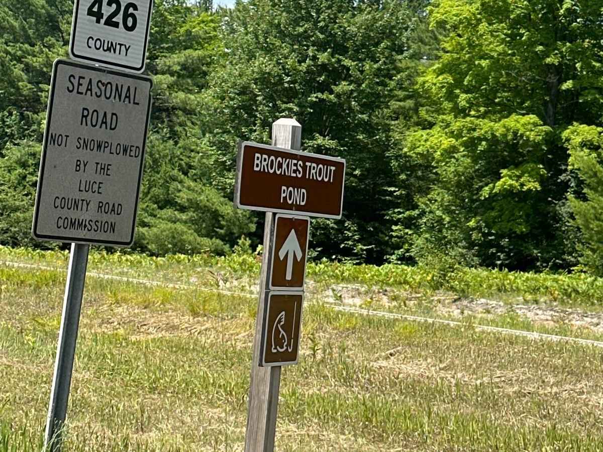 Brockies Trout Pond trail photo