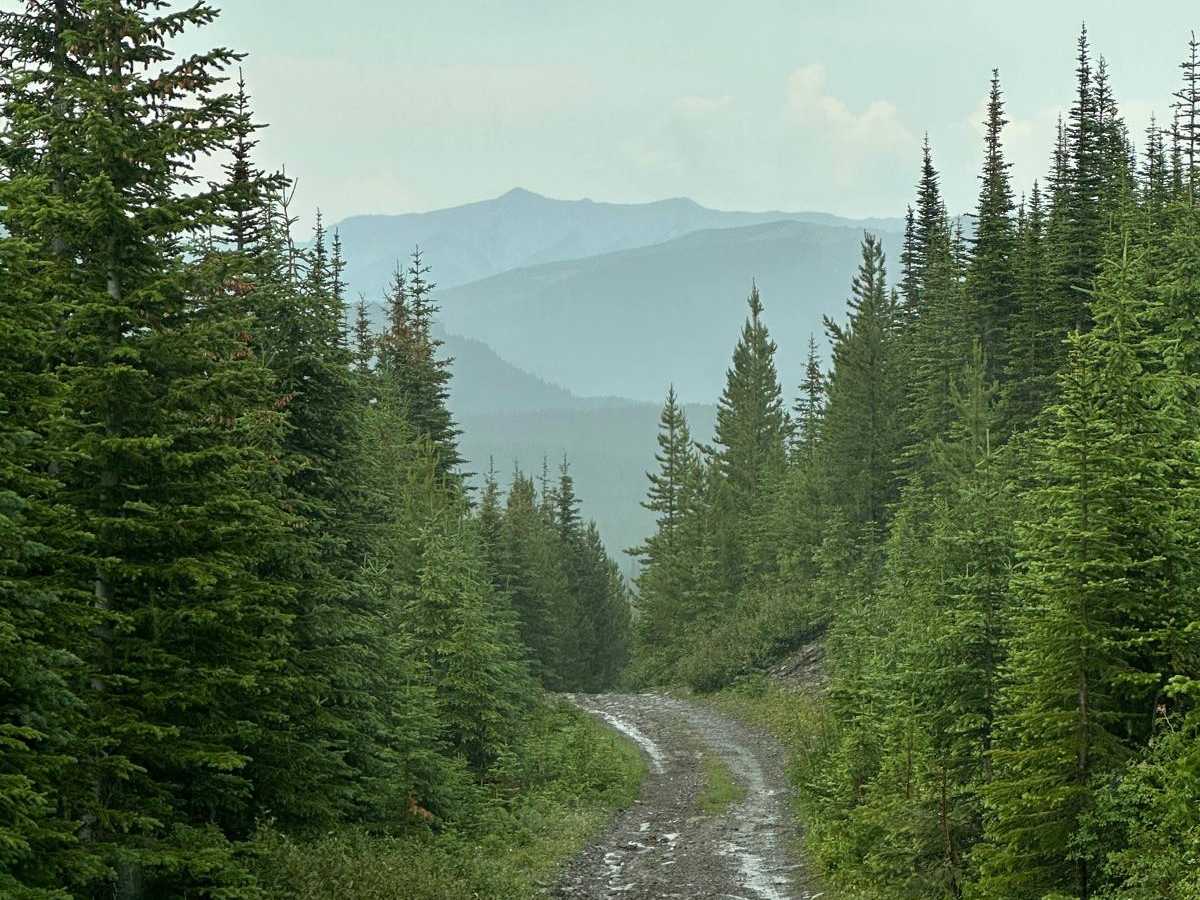 Smith Creek photo 5
