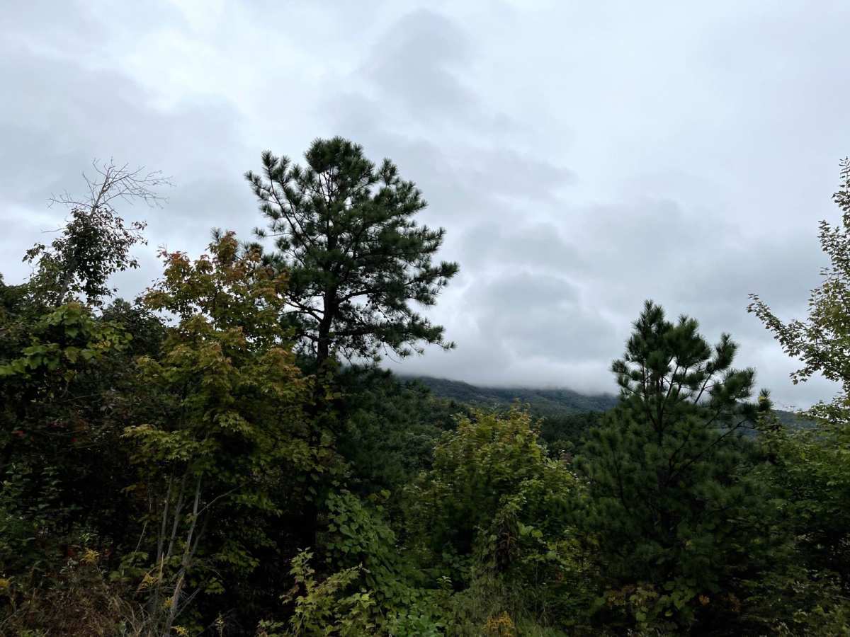 Waucheesi Mountain Overlook photo 3