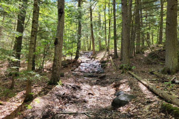 Quinn Loop Backdoor Trail