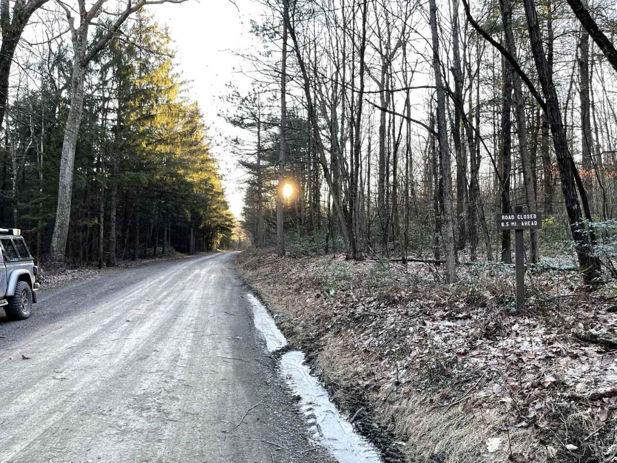 Knob Ridge Road trail photo