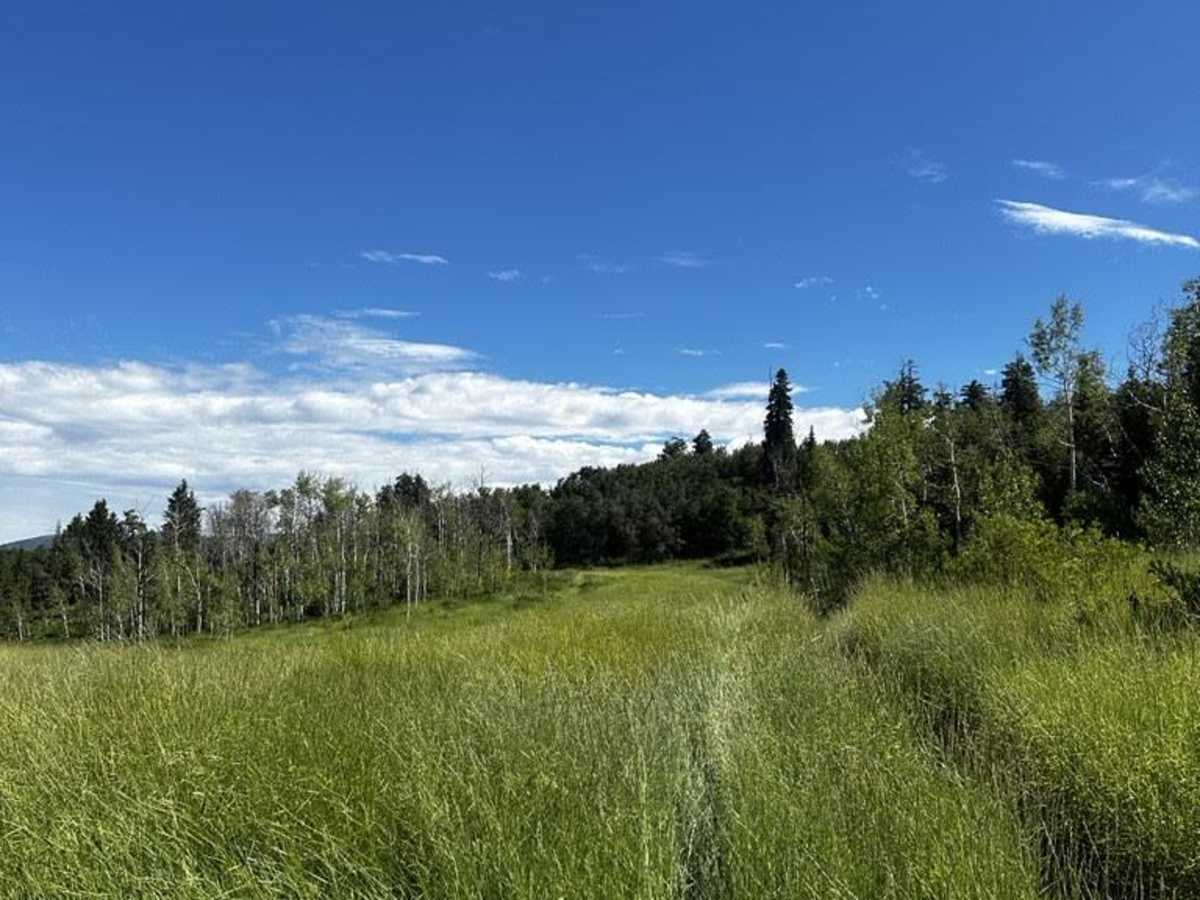 Packard Canyon Cutoff Trail photo 3