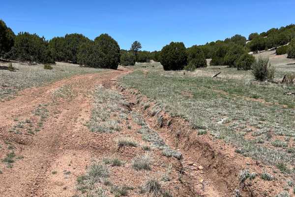Antelope Shortcut