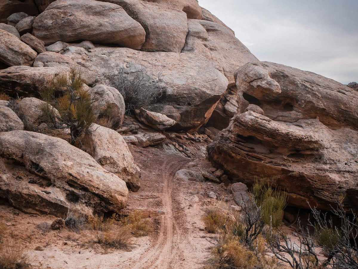 Terrys trail photo