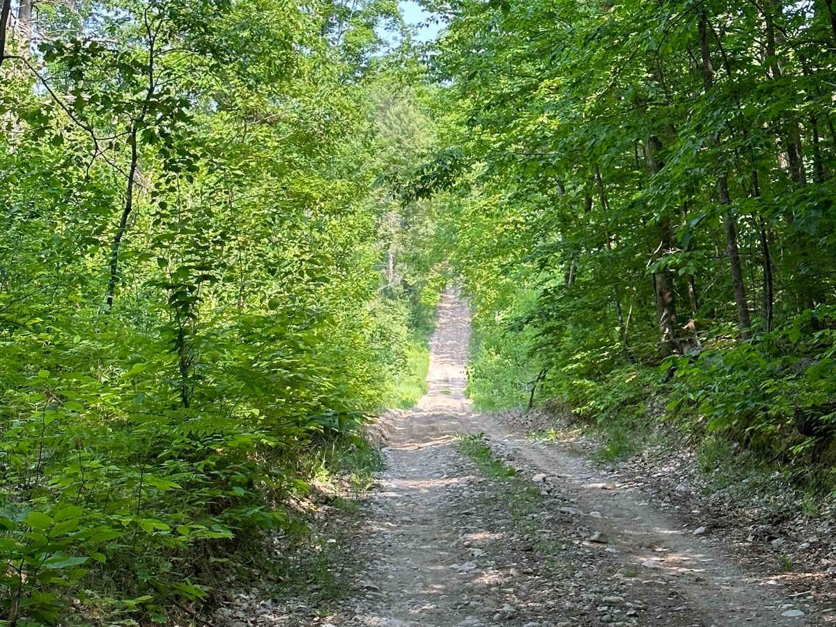 Trail 48468 photo 2
