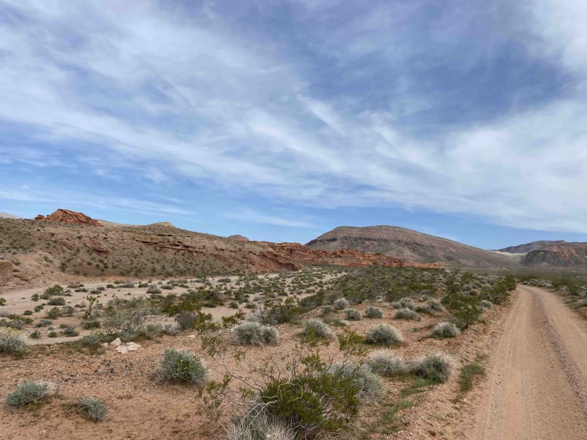 Babes Bluff Road photo 3