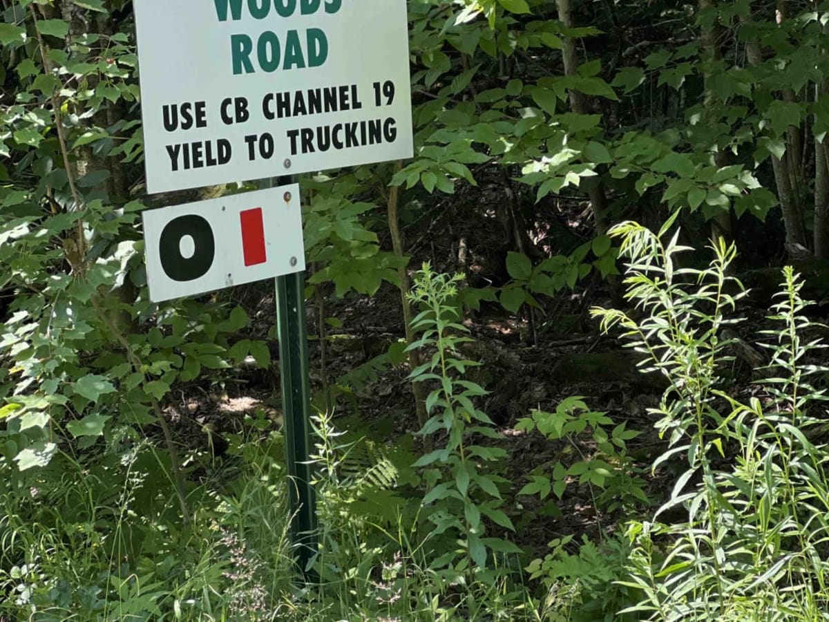 Burrill Woods Road photo 4