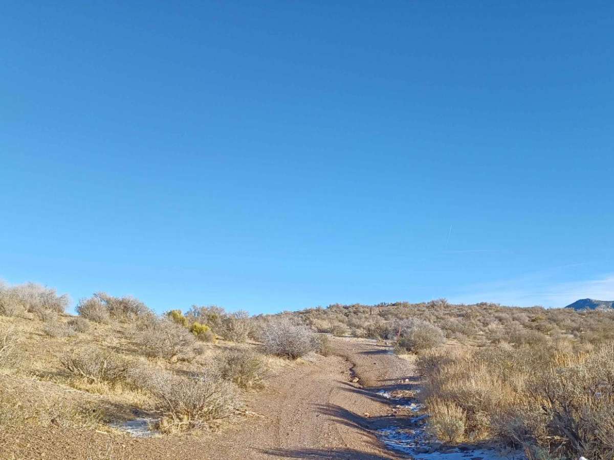 552 Mining Entry Road photo 6