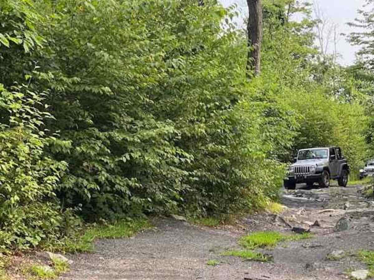 S3 trail photo
