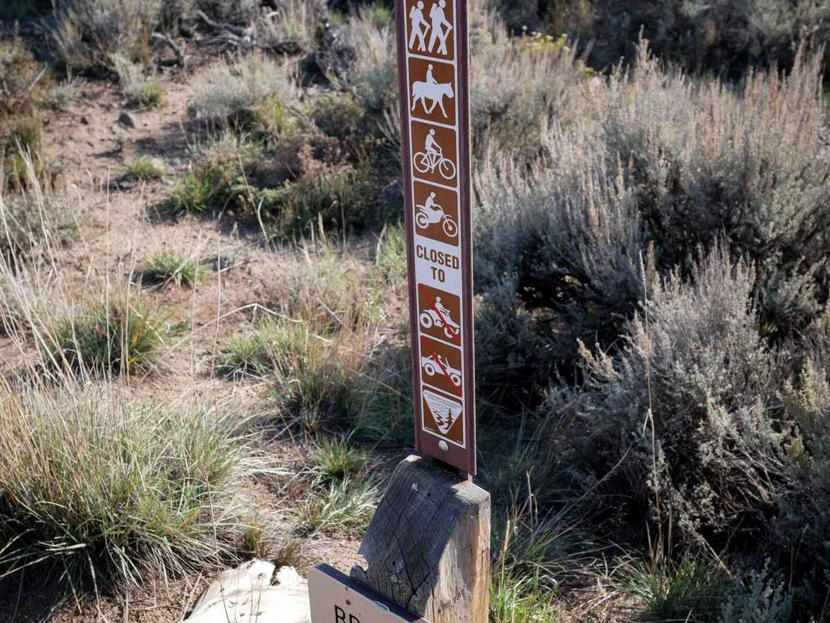 Broken Shovel photo 5
