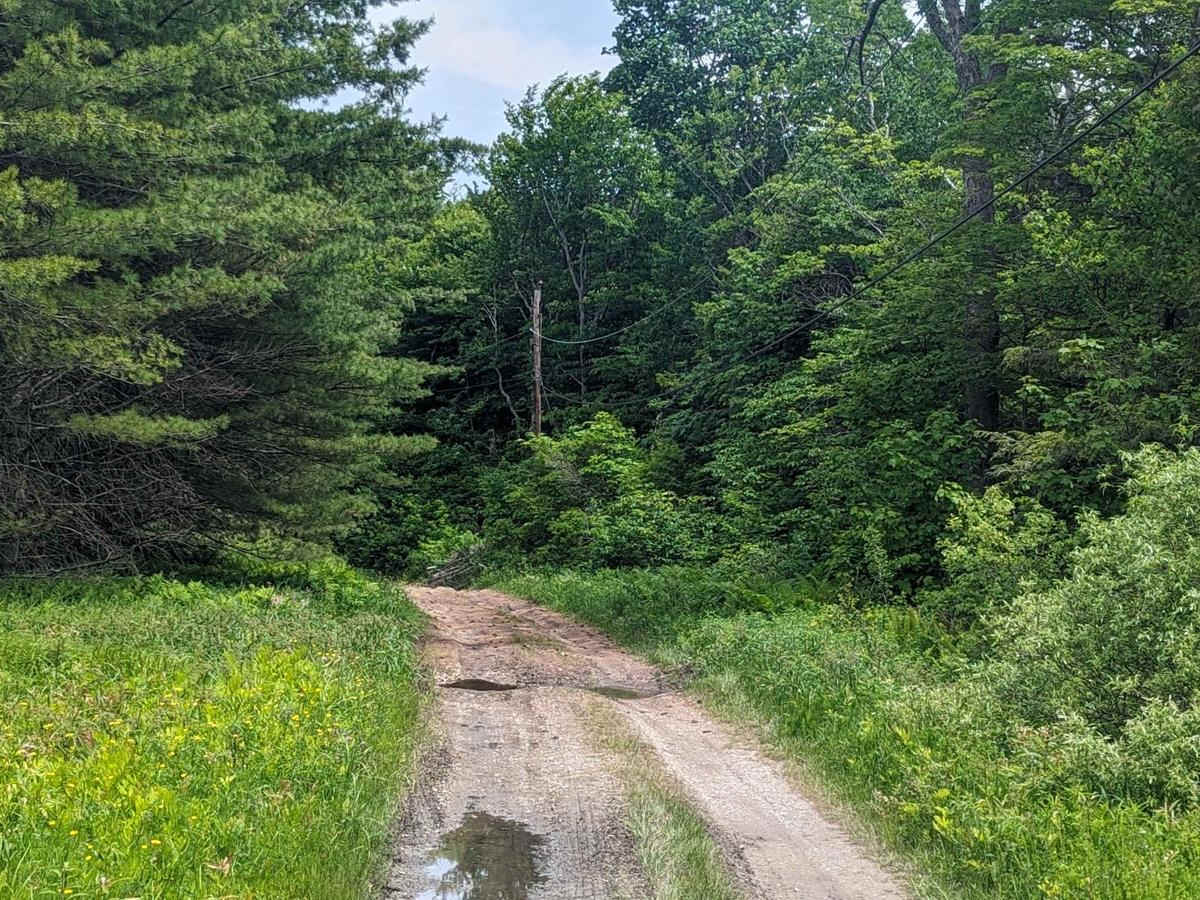Adams Road photo 6