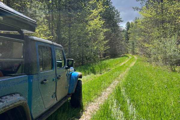 Grassy Grown Trail