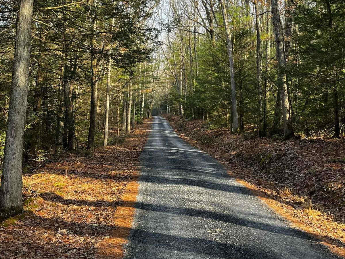 Hunter Road photo 2