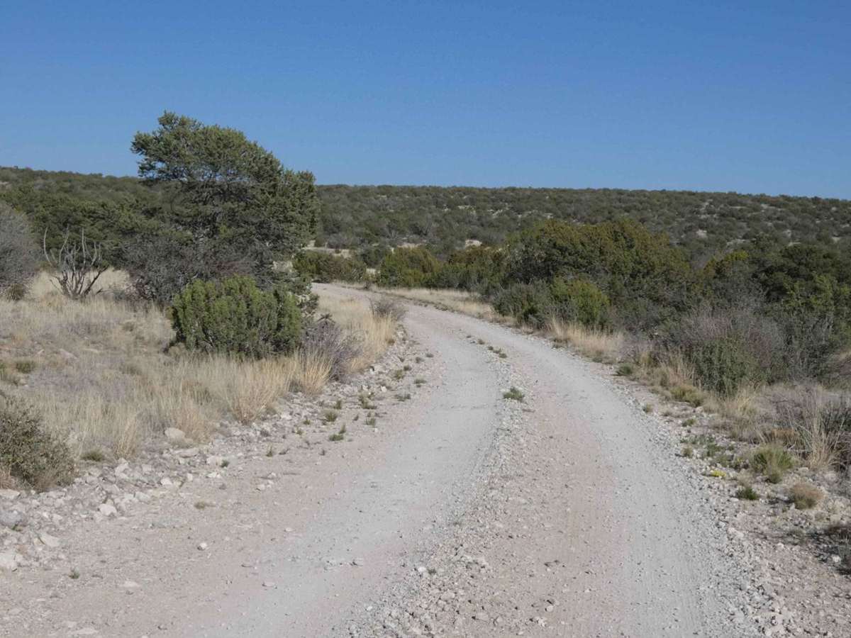 National Livestock Road trail photo