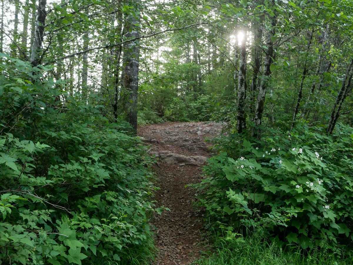 #41H trail photo