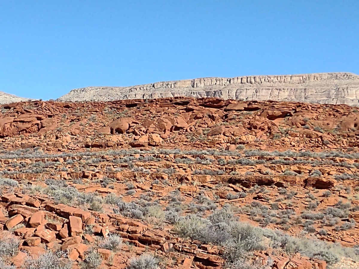 Dinosaur Tracks to East Rim photo 2