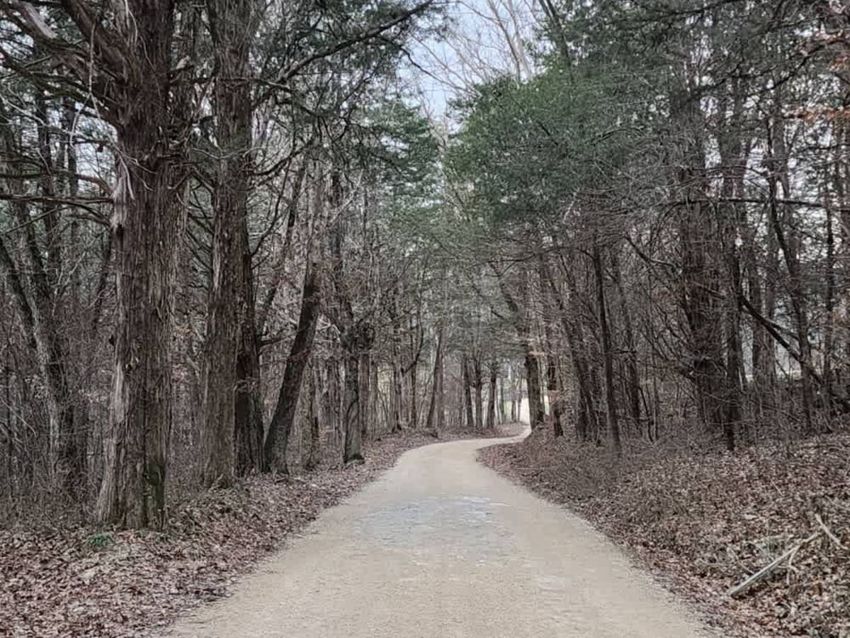 Web Hollow Road photo 2