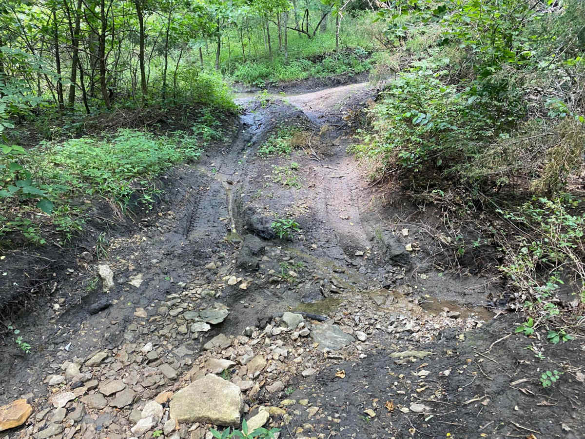 Creek Run photo 5