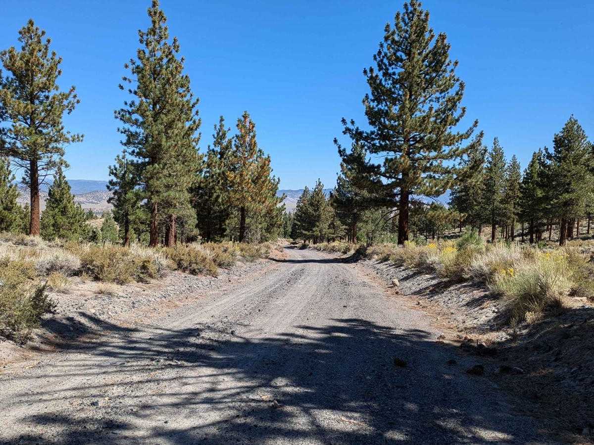McGee Canyon West photo 2